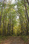 IMG_1235.JPG